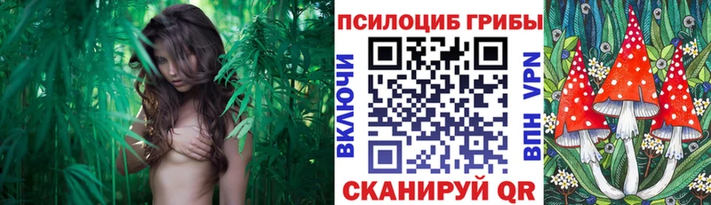 Псилоцибиновые грибы прущие грибы  Лабытнанги 